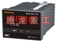 溫度表、數(shù)字顯示儀、濕度表