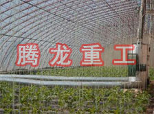 大棚花卉供暖設(shè)備、大棚卉采暖設(shè)備、大棚花卉取暖設(shè)備