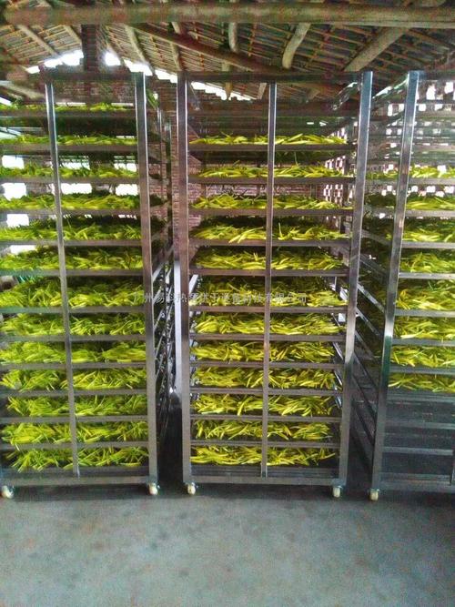 黃花菜烘干機、黃花菜烘干設備、黃花菜干燥機、黃花菜干燥設備、